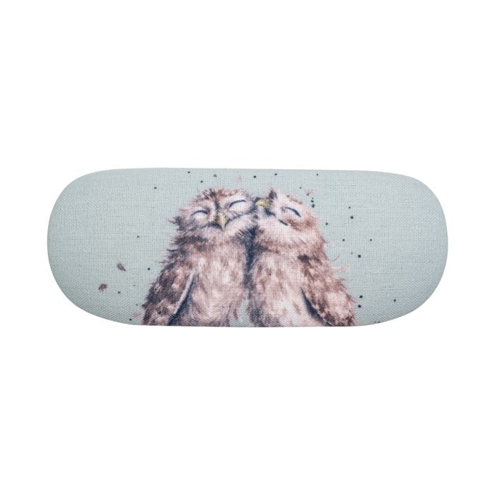 Glasses Cases Owl