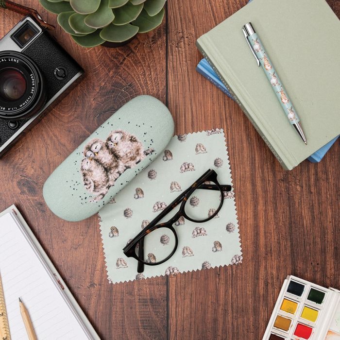 Glasses Cases Owl