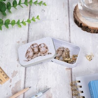 Mini Gift Tin Owl
