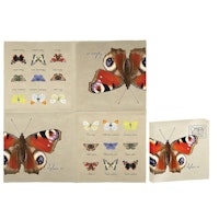 Vintage Butterflies