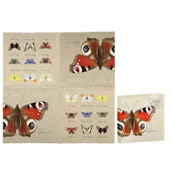 Vintage Butterflies