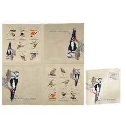 Vintage Birds