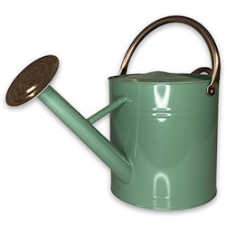 Vattenkanna grön