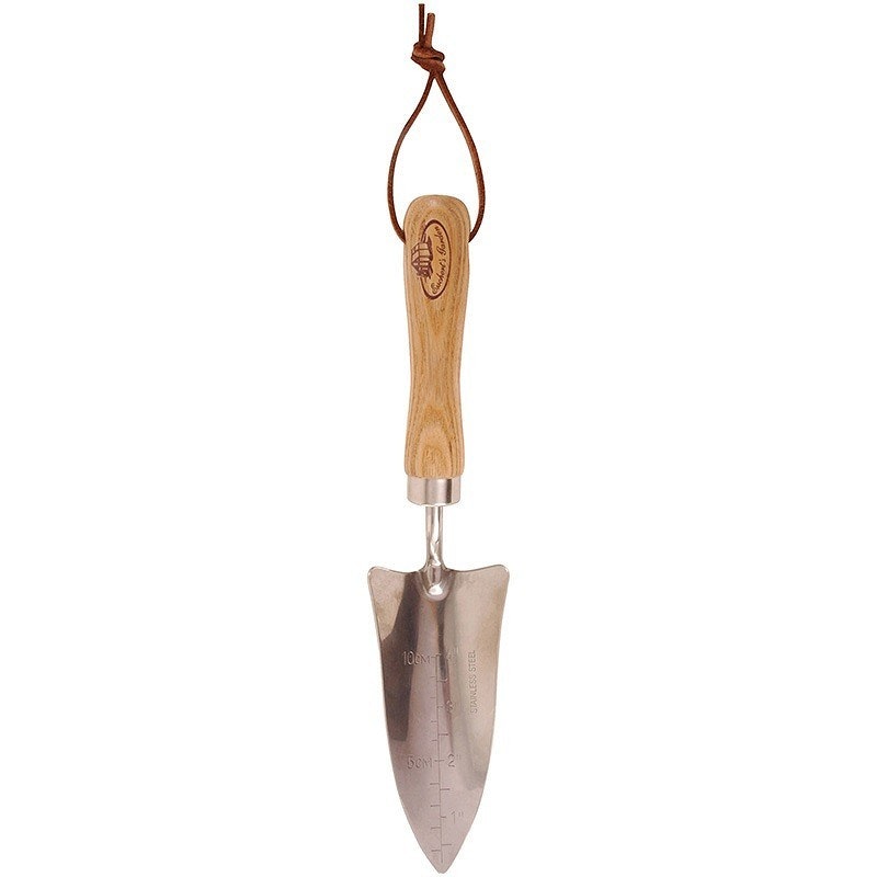 Transplanter