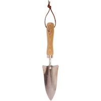 Transplanter