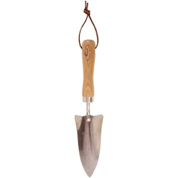 Transplanter