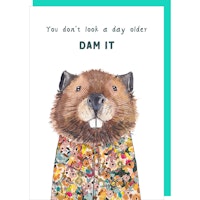 Card Dam It