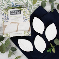Willow Bough Bath Fizzers