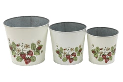 Planters