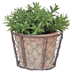 Pot in wire basket