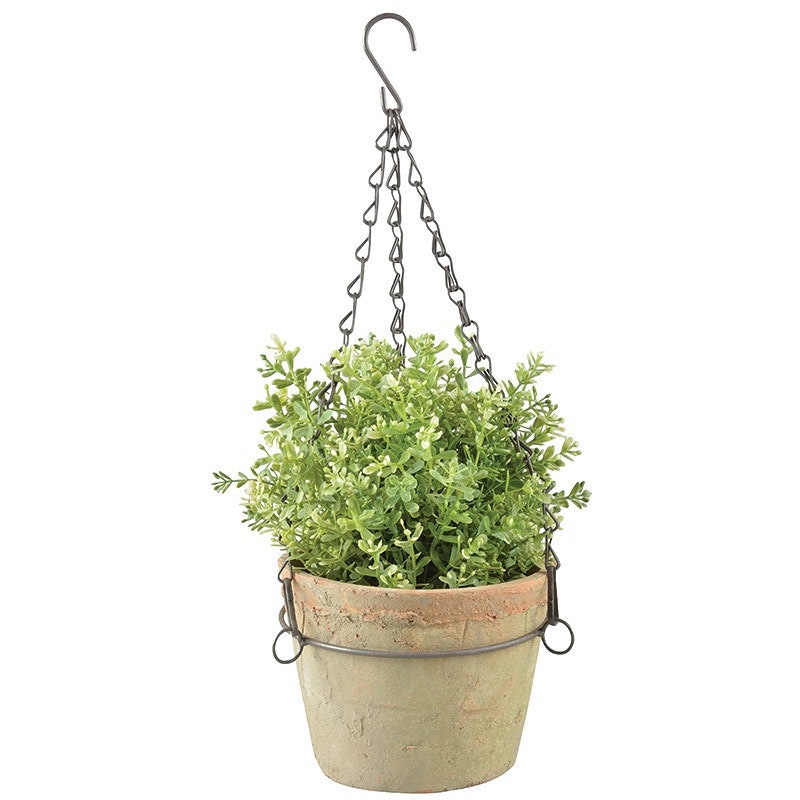 Pot hanging in wire basket