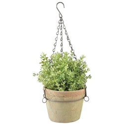 Pot hanging in wire basket