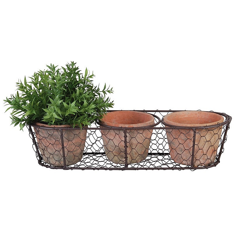 3 Pots in wire basket