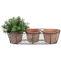 3 Pots in wire basket