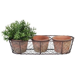 3 Pots in wire basket