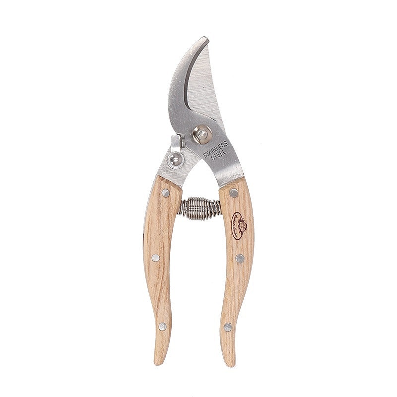 RVS Prunning Shears House Plant