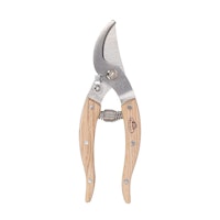 RVS Prunning Shears House Plant