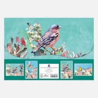 Symphony Notecard Collection