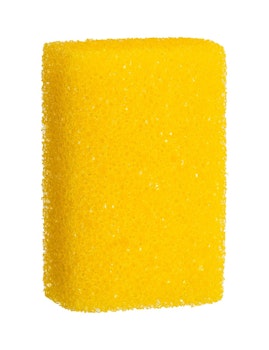 Sponge for Insects