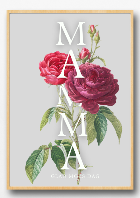 Mors dag poster - Rosor