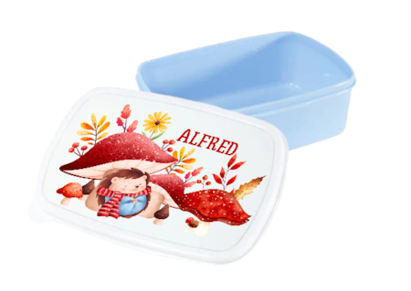 Personlig lunchlåda för barn -matlåda- lunchbox -Igelkott