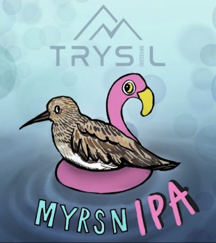 MyrsnIPA boks brett med 24 stk inkl pant.