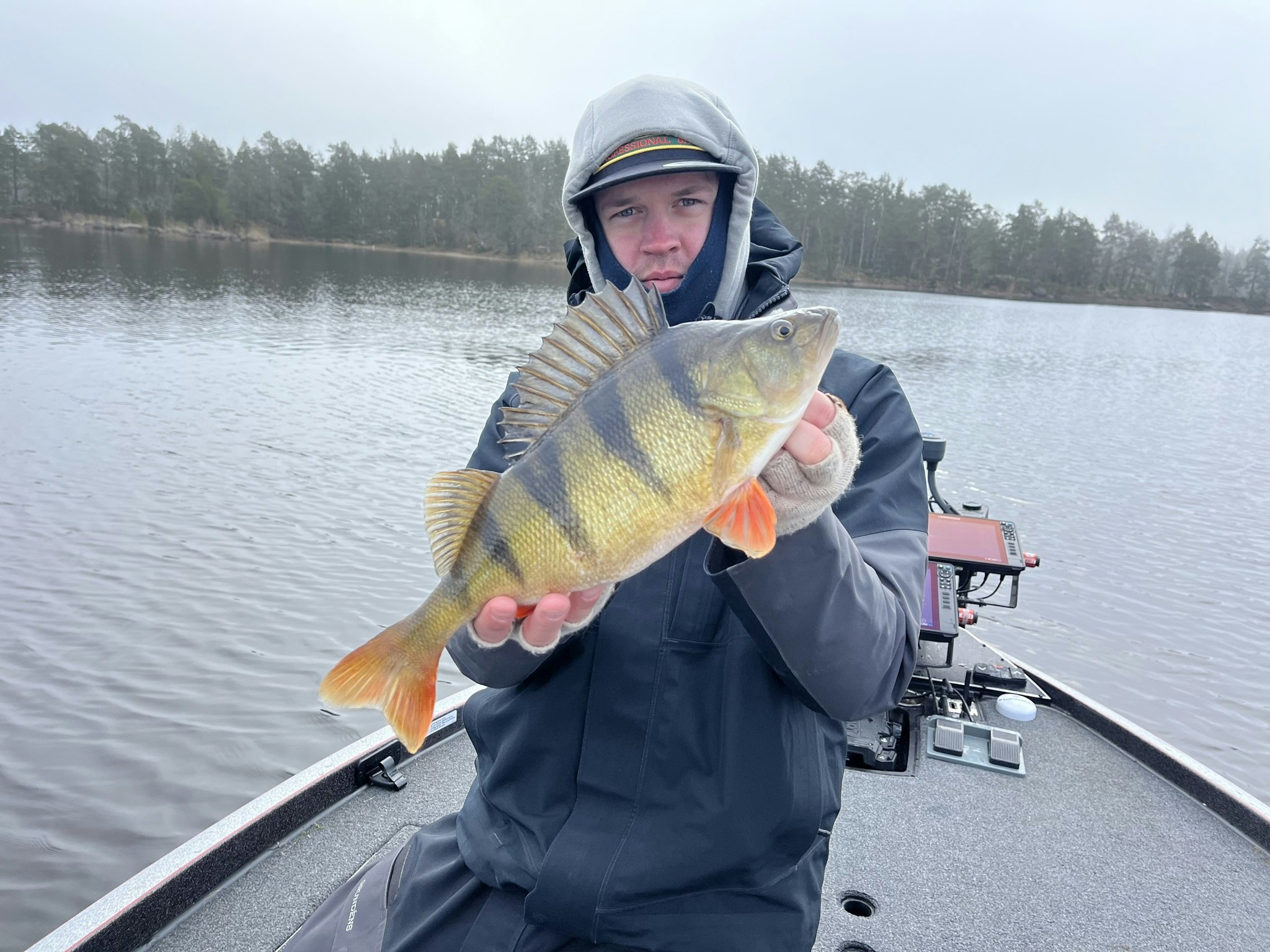 Gäddfiske och Abborrefiske i Oskarshamn
