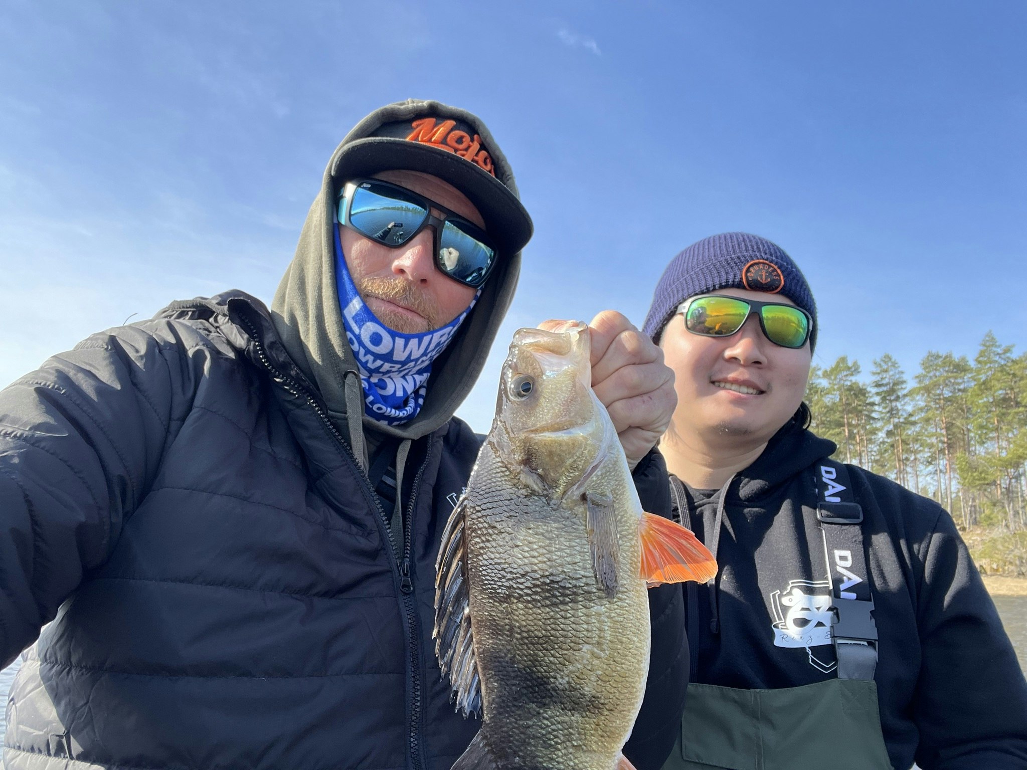 Gäddfiske och Abborrefiske i Oskarshamn