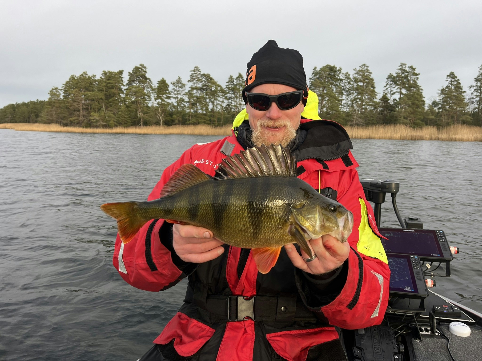 RenzTail Finesse 8-pack