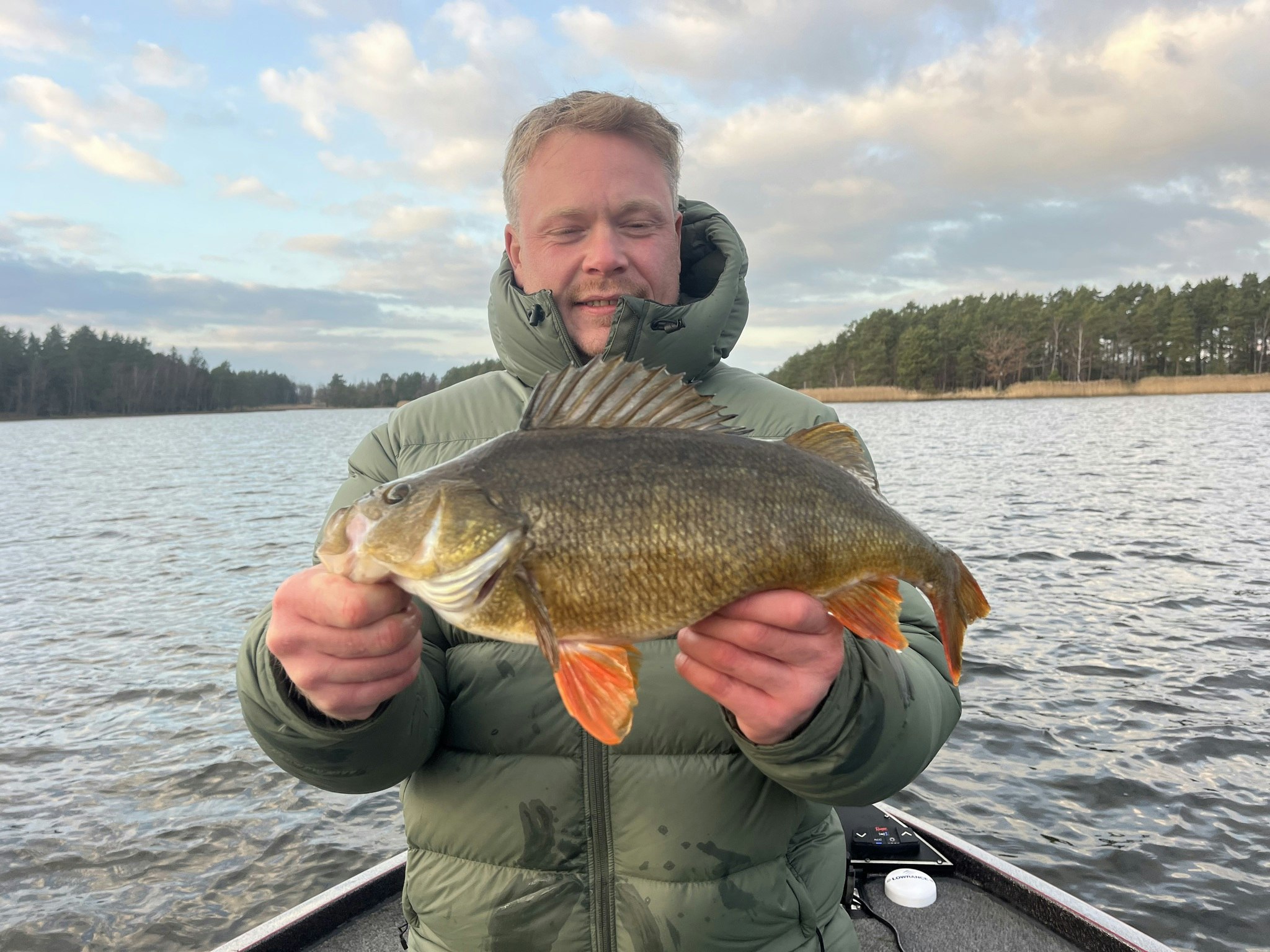 RenzTail Finesse 8-pack