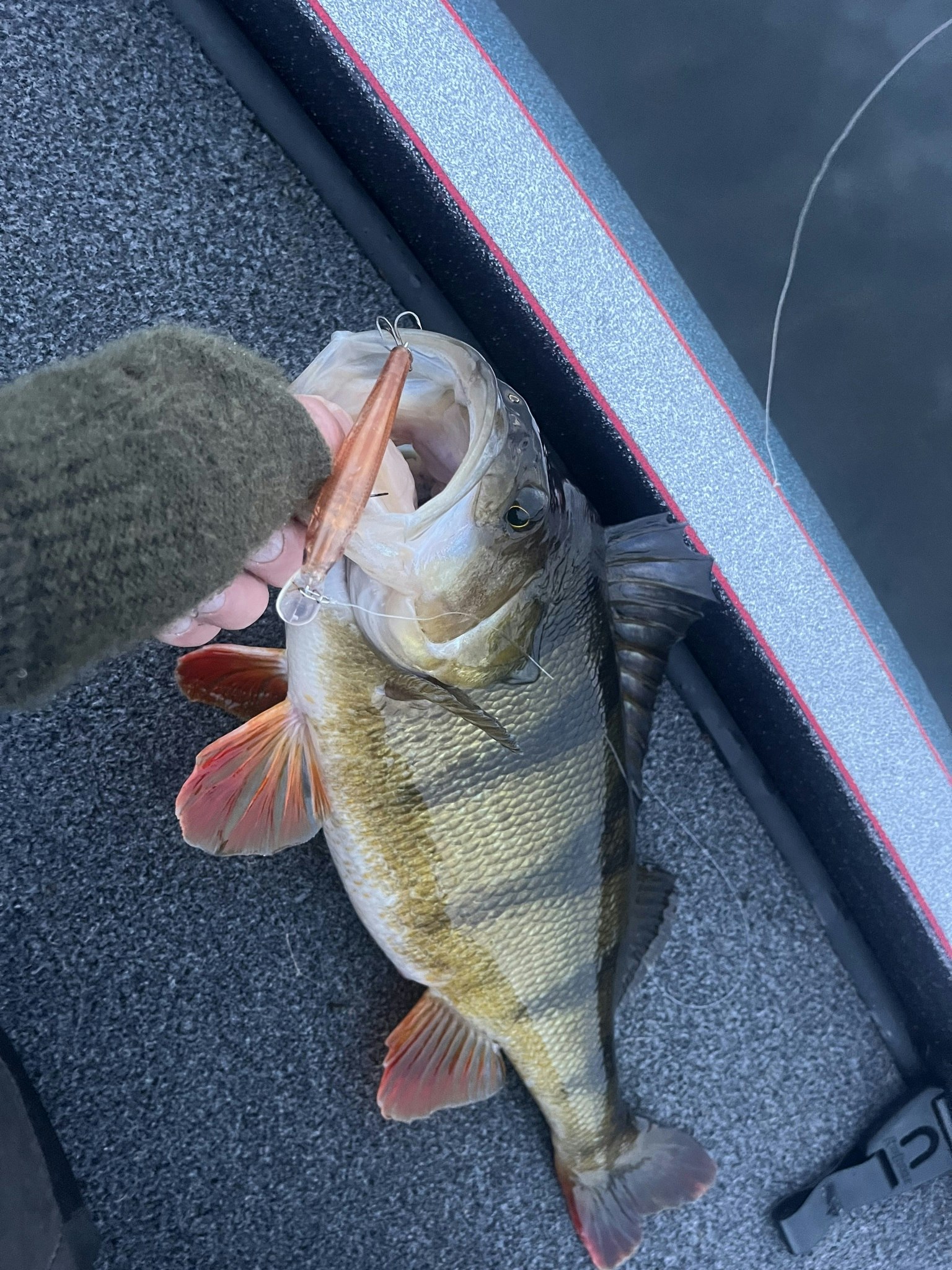 Beastly Minnow Finesse 75mm 8gr