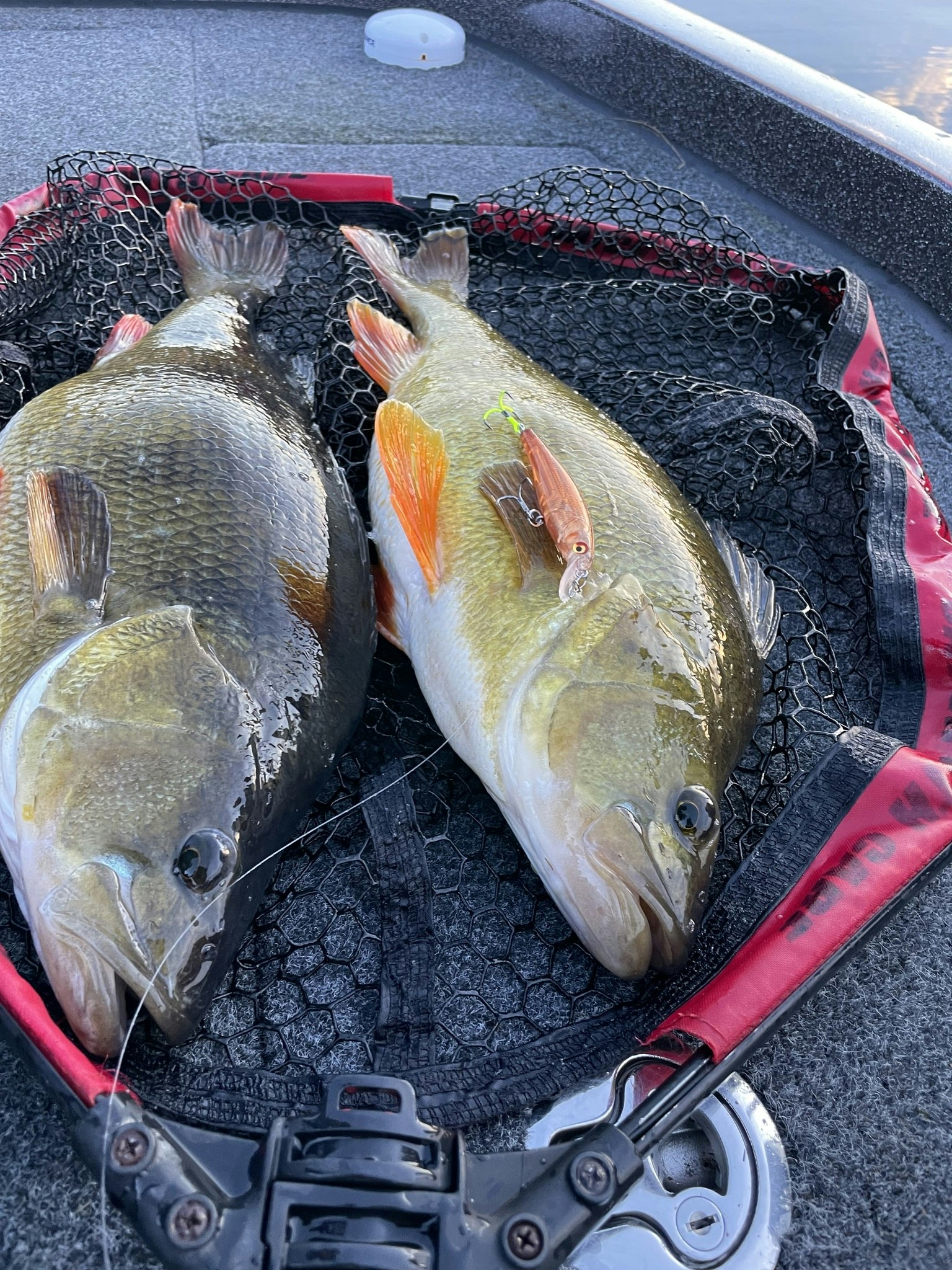 Beastly Minnow Finesse 75mm 8gr