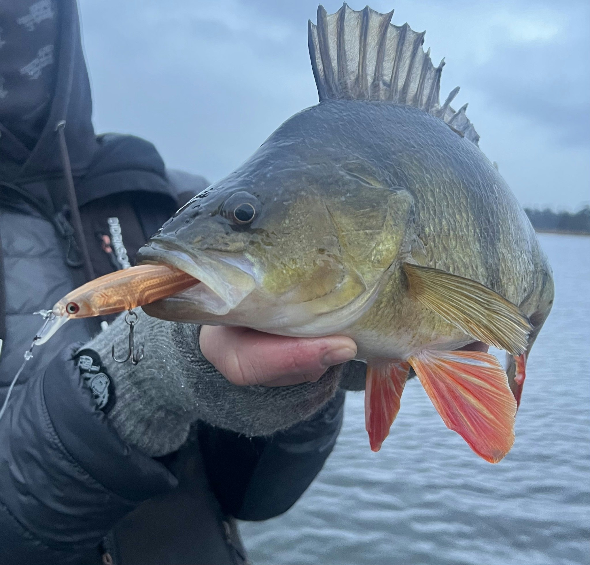 Beastly Minnow Finesse 75mm 8gr