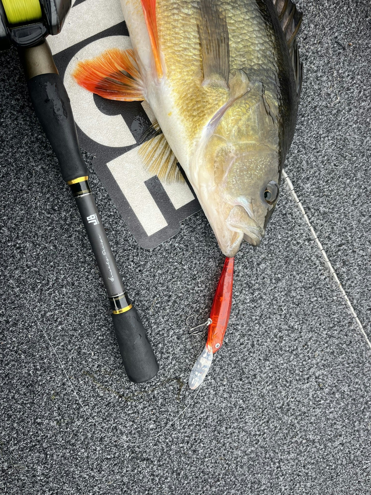 Beastly Diver 90mm 12gr