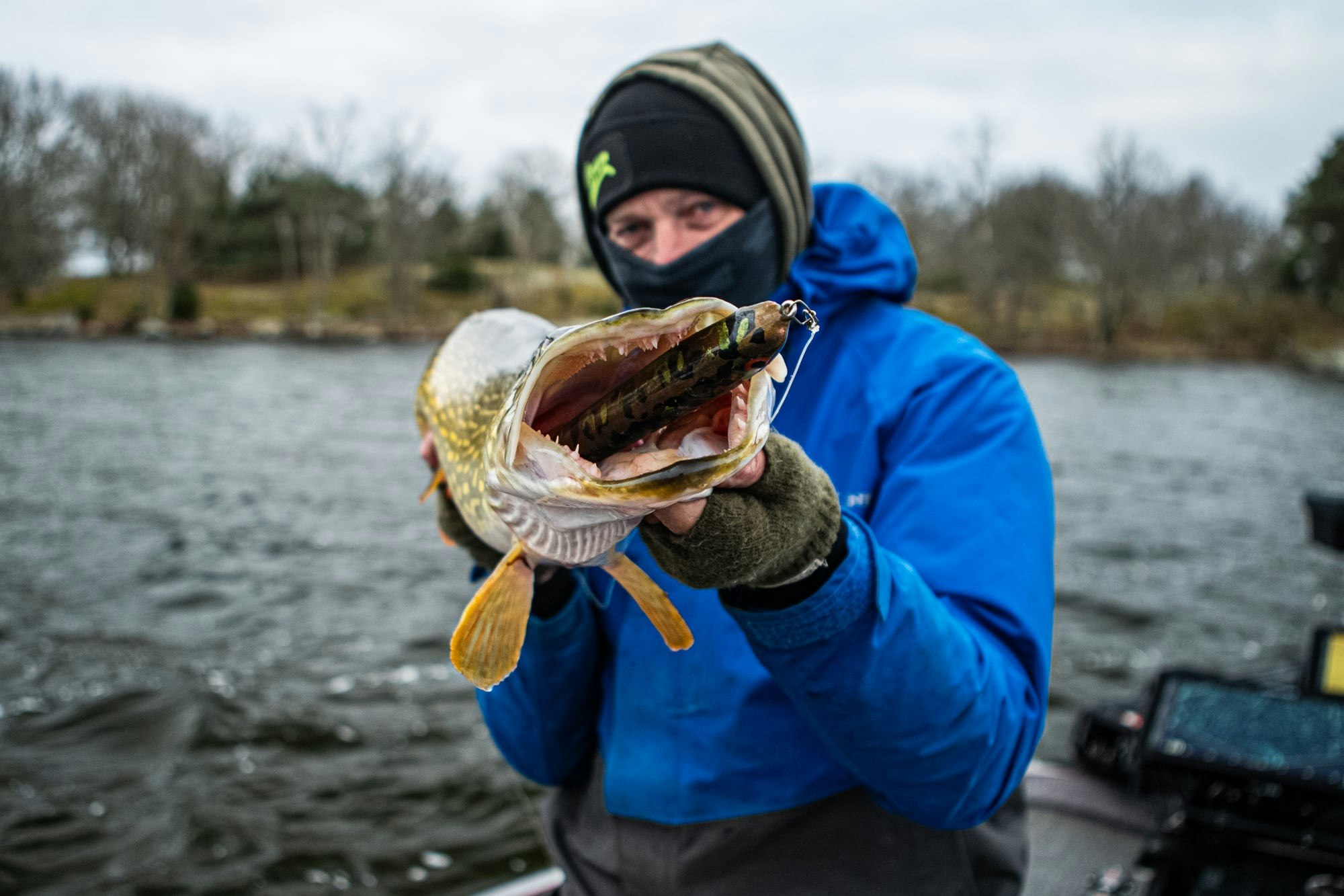 Gäddfiske i Blekinge