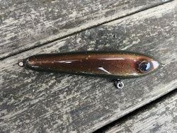 BeastGlide 17