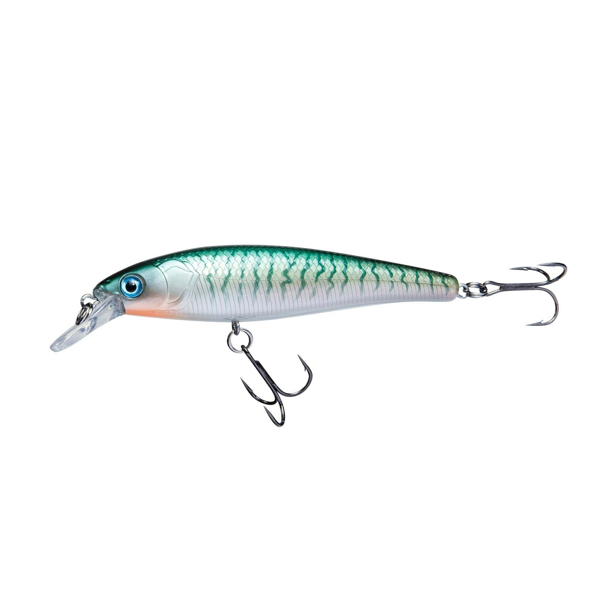 Beastly Minnow