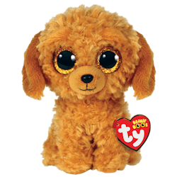 NOODLES - golden doodle (regular)