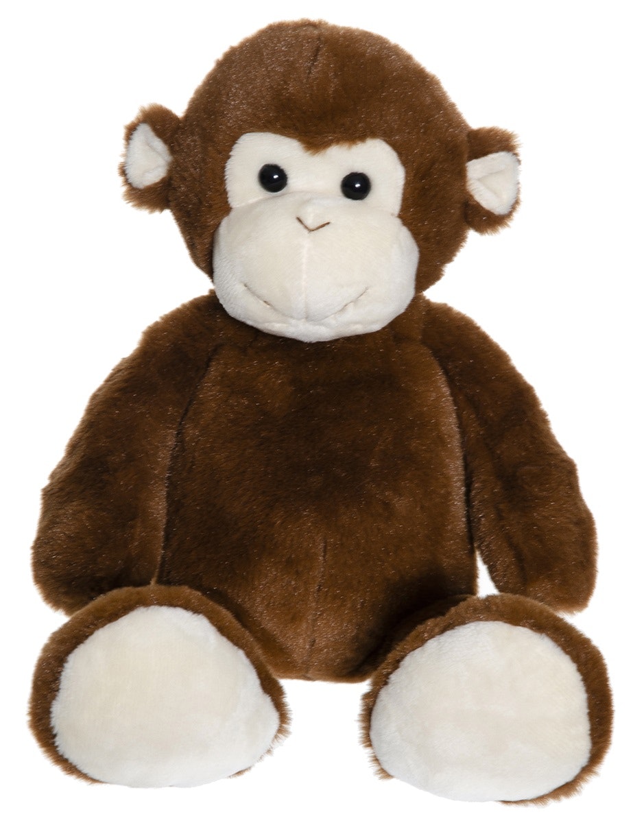 Teddy Wild, Apa