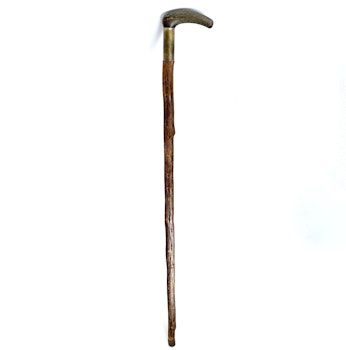 Antique walking stick from the 18th century with handles of rhino horns