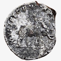 Romerska riket, Septimius Severus (193-211 A.D.) denarius Elefant
