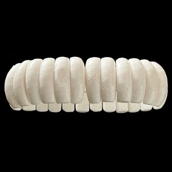 Mediterranean natural white coral bracelet