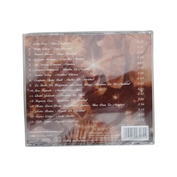 Feliz Navidad A Latin American Christmas Party CD NY
