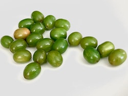 Gammal bakelit pärlor 31 gram
