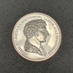 king - Karl XIV Johan, silver medal