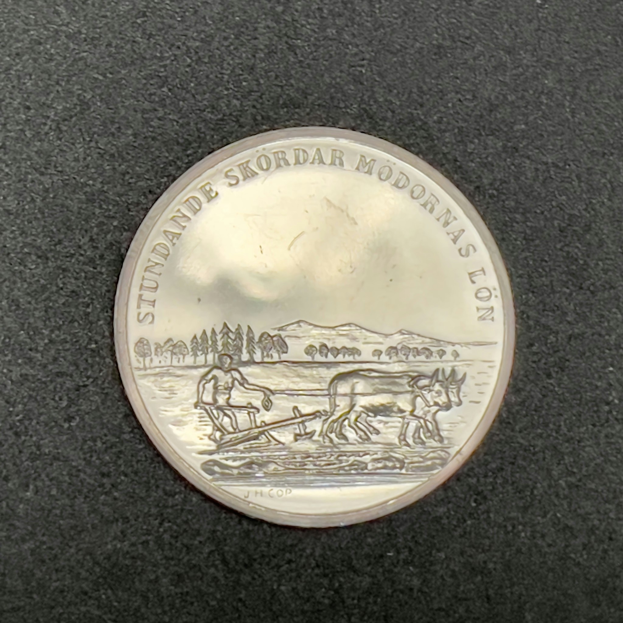 rey - Karl XIV Johan, medalla de plata