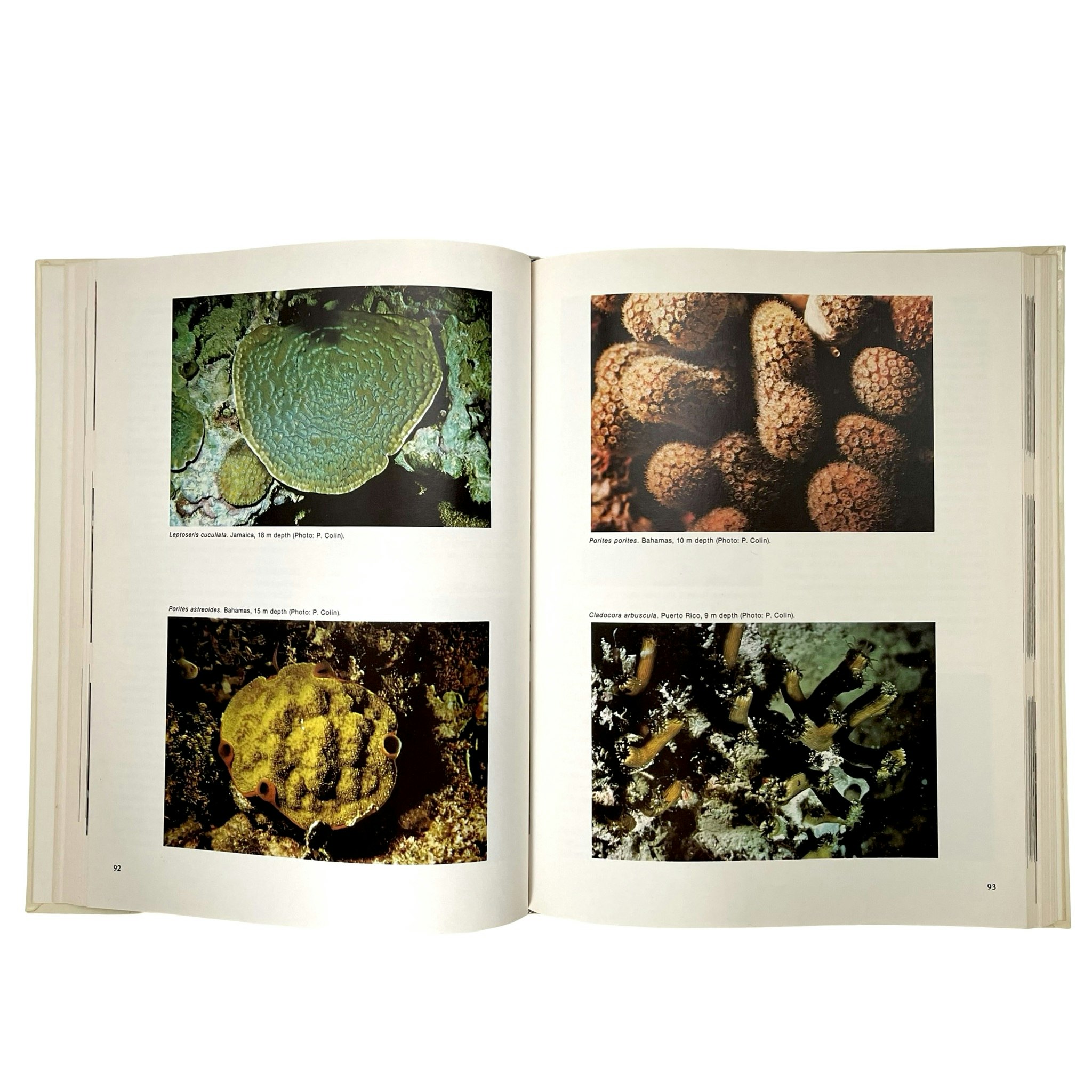Corals of the world, Elizabeth M. Wood, Engelsk text.