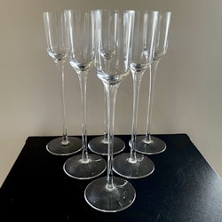 6 st Champagne snaps handblåst glas