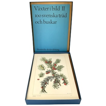 Växter i bild II. 100 svenska träd och buskar. 100 planscher i färg