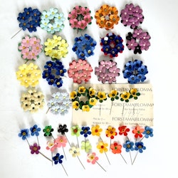 Majblommor samling
